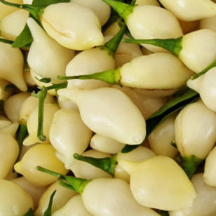 Pepper - Biquinho White