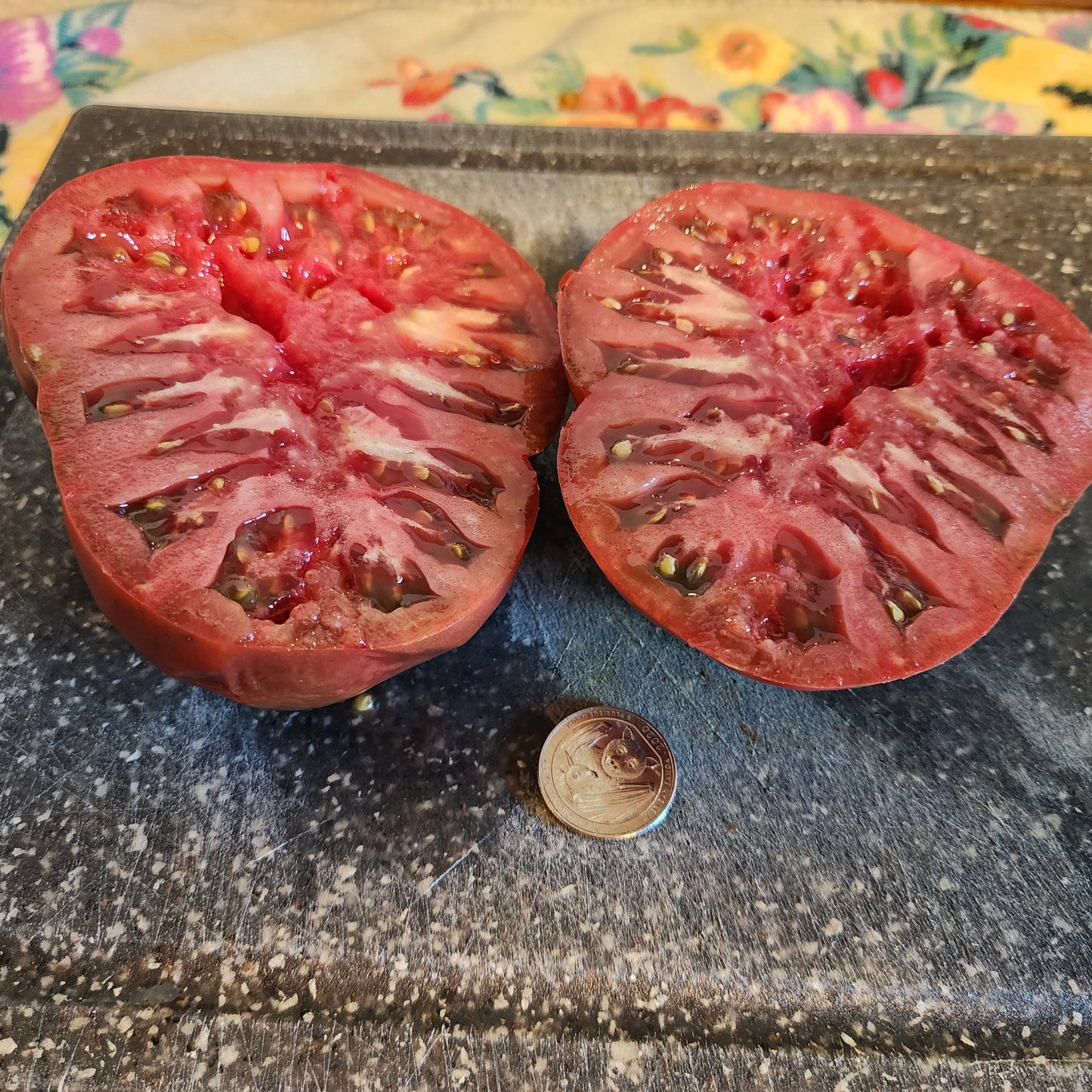 Tomato - Heritage Cottage Black