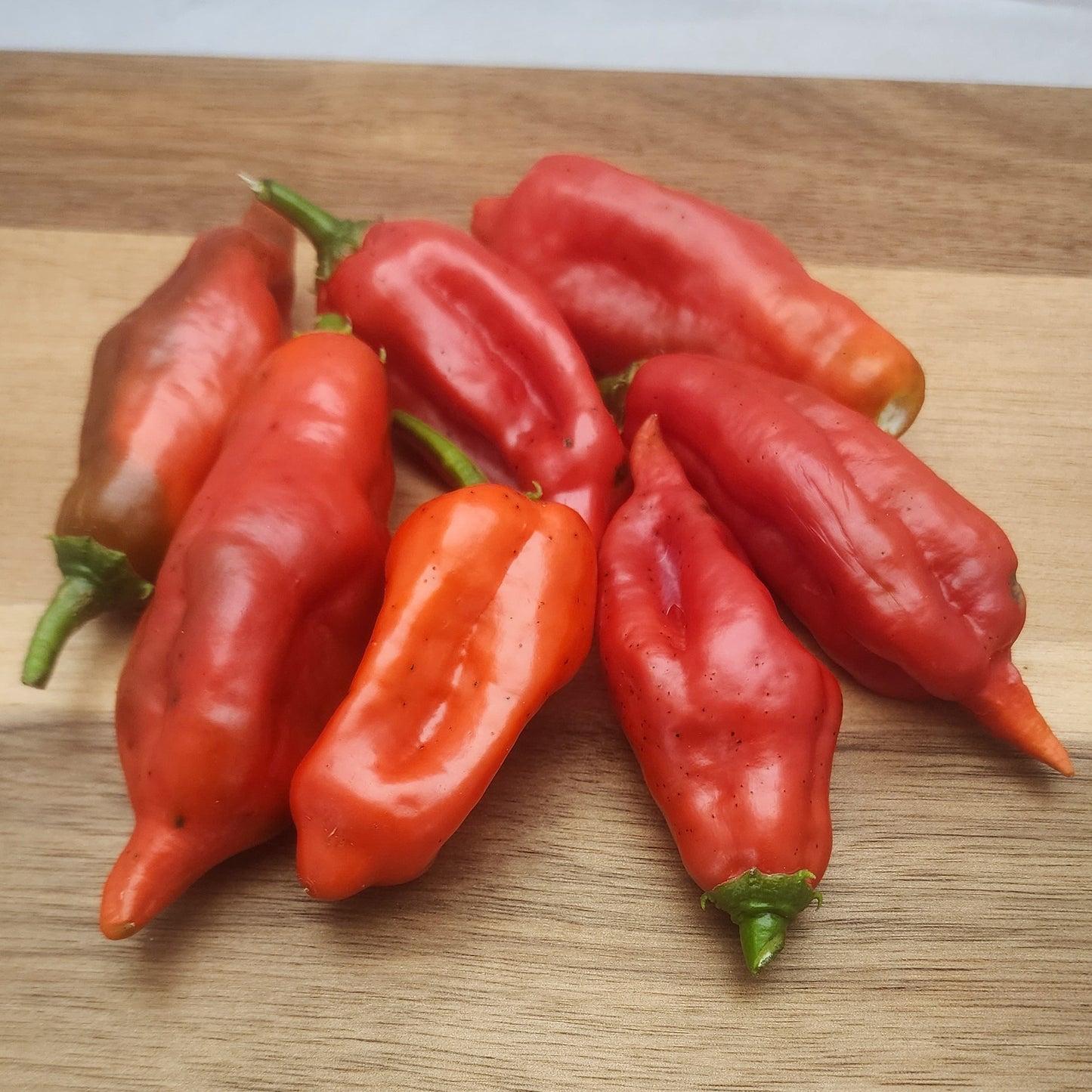 Pepper - Aji Norteño