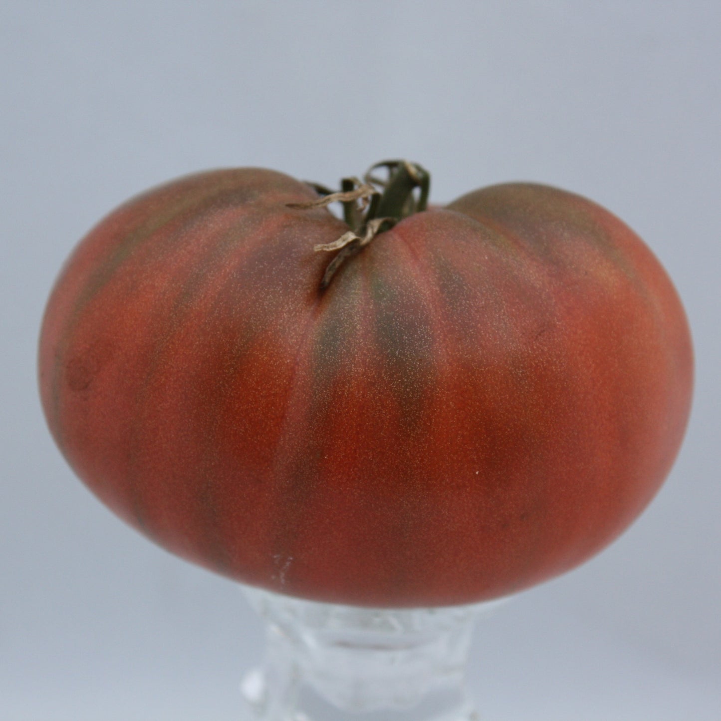 Tomato - Cherokee Purple