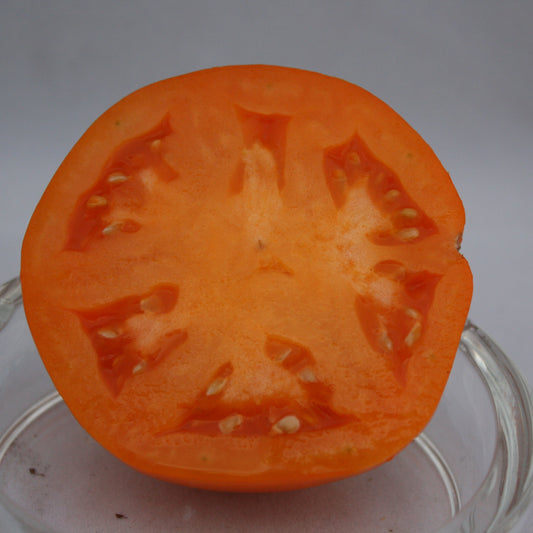 Tomato - Heritage Cottage Orange