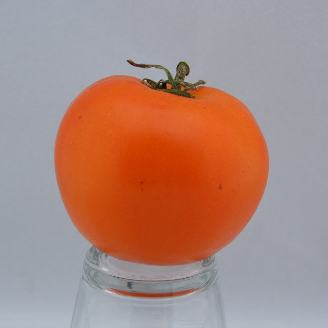 Tomato - Heritage Cottage Orange