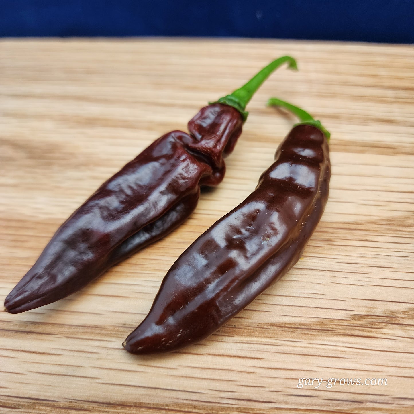 Pepper - Aji panca