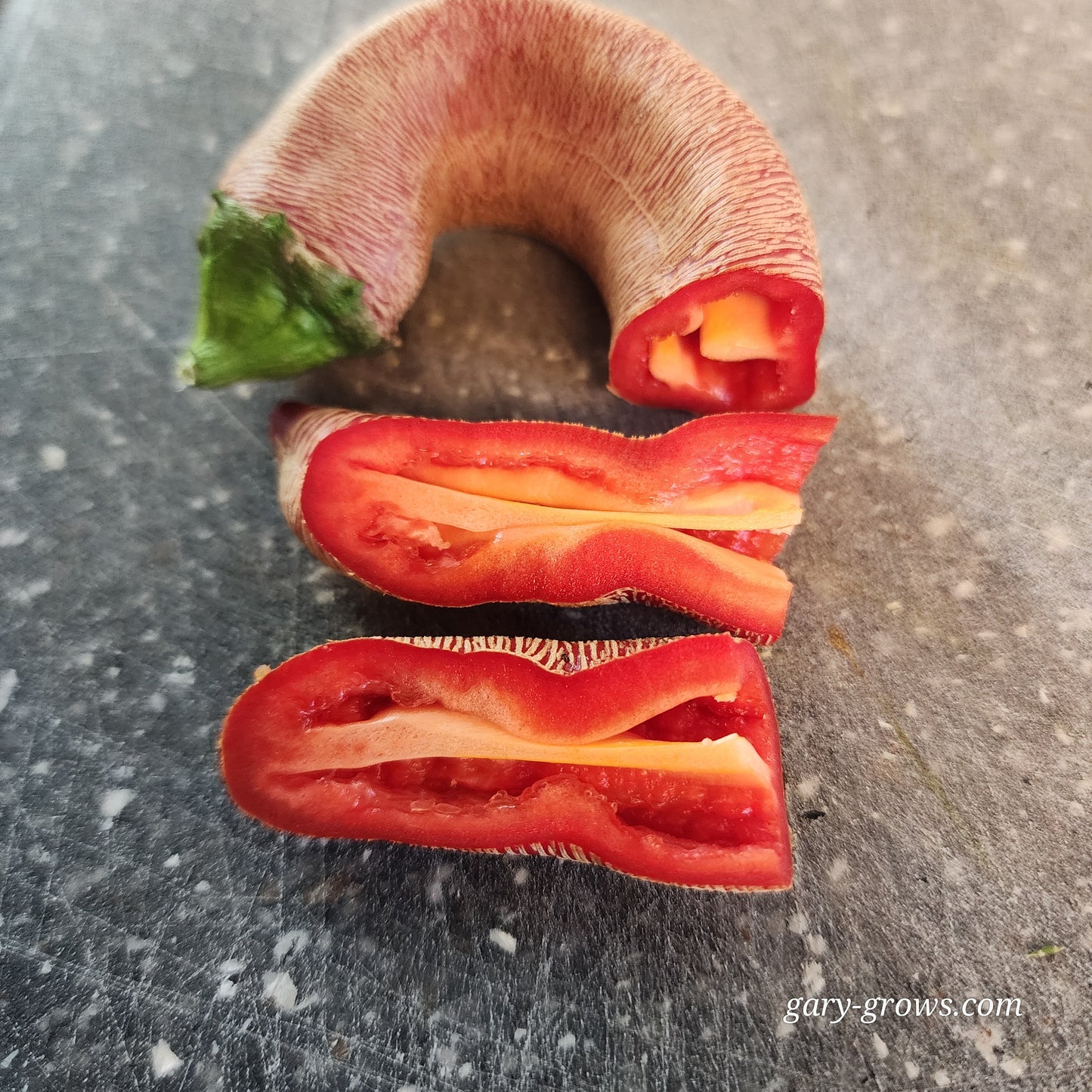 Pepper - Rezha Macedonian