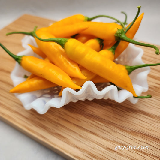 Pepper - Aji chinchi amarillo