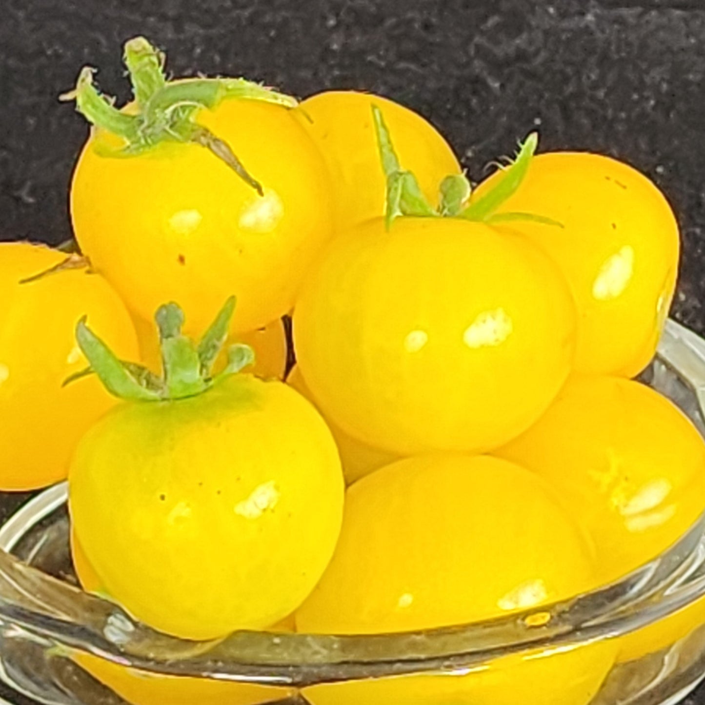 Micro Tomato - Hahm's Gelbe