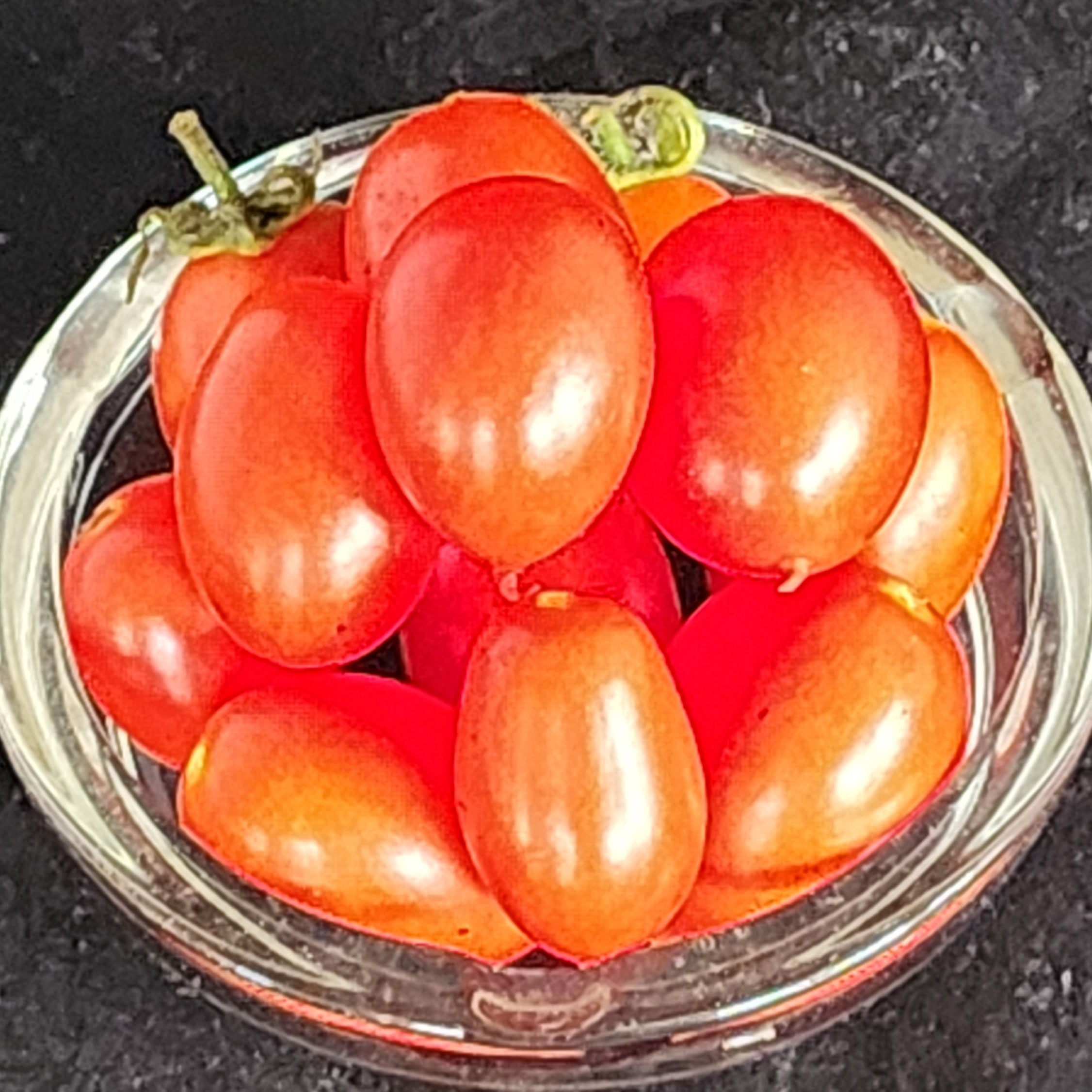 Hardin’s Miniature Micro-Dwarf Tomato Seeds | Compact Red Tomatoes ...