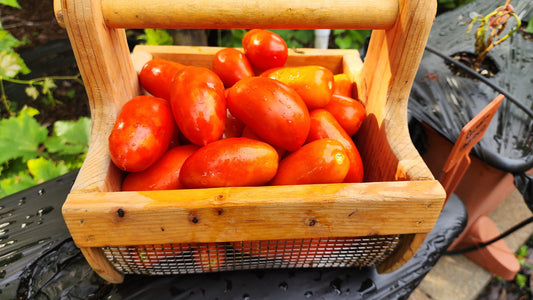 Tomato - Heritage Cottage Paste