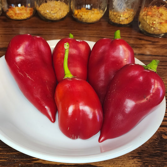 Pepper - Leutschauer Paprika