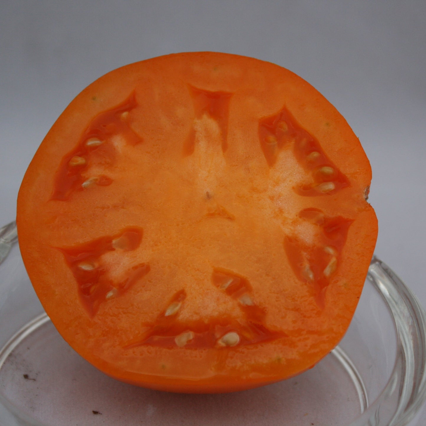 Tomato - Heritage Cottage Orange