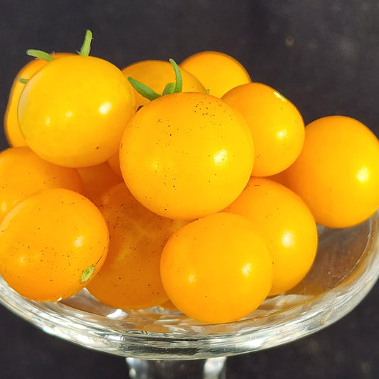 Micro Tomato - Orange Hat
