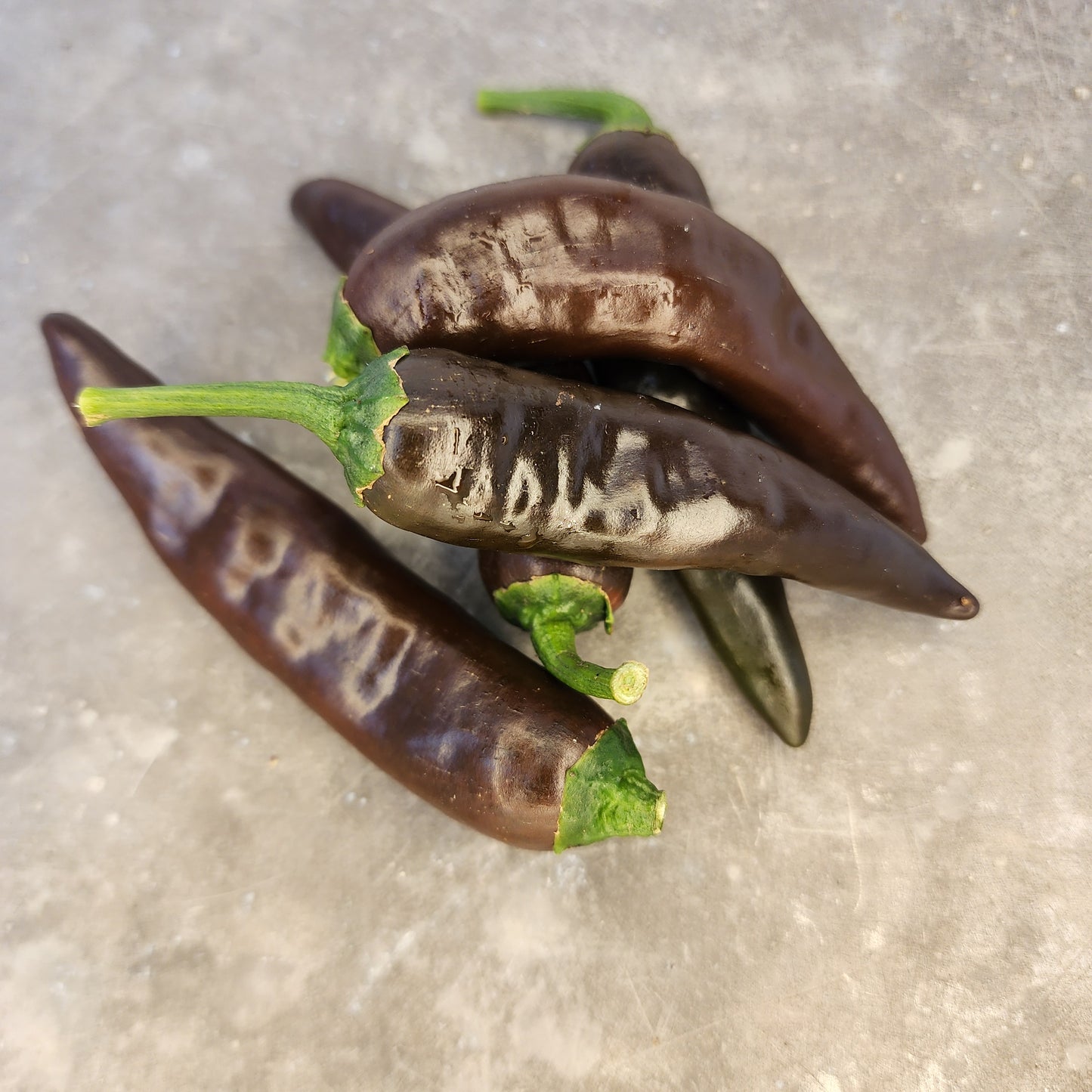 Pepper - Ethiopian Brown Berbere