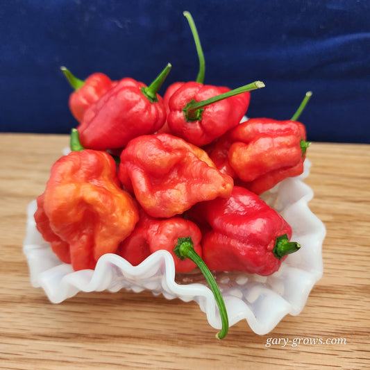 Pepper - Aji Margariteno Red