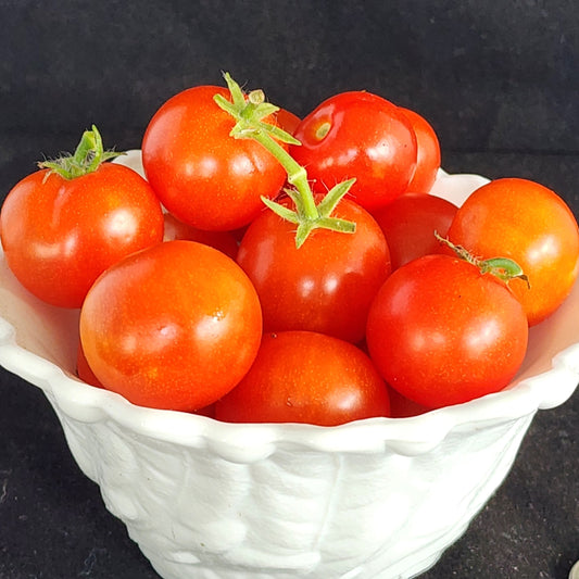 Micro Tomato - Red Robin