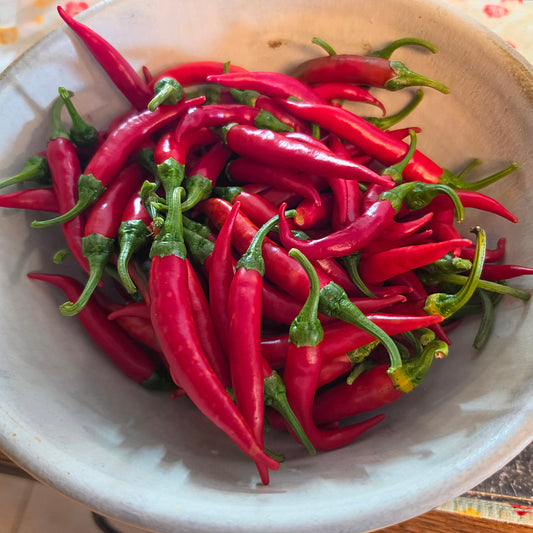 Pepper - Piment de Espelette