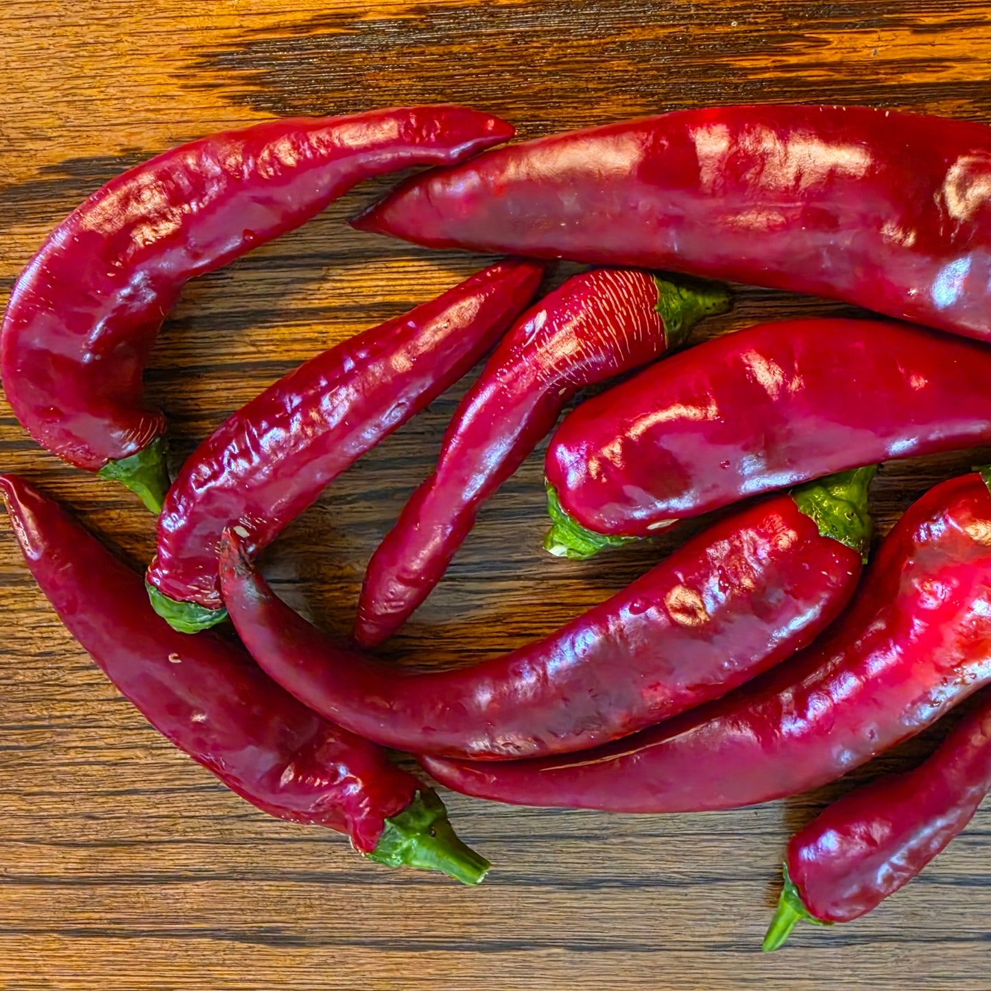 Pepper - Hungarian Paprika